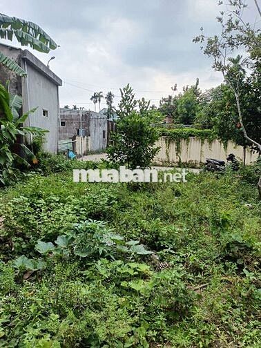 200M Đất ở vùng ven hòa xuân thành phố đà nẵng