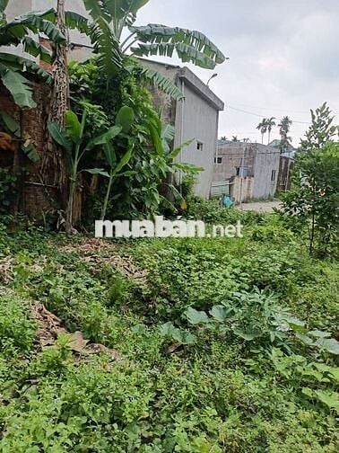 200M Đất ở vùng ven hòa xuân thành phố đà nẵng