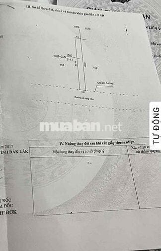 BÁN ĐẤT MẶT TIỀN NGUYỄN TRÍ PHƯƠNG NỐI DÀI – P. BUÔN MA THUỘT
