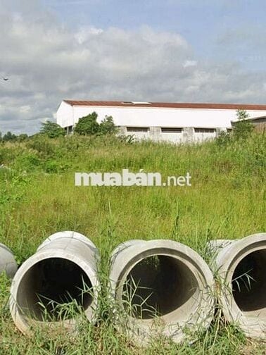 Bán đất về quê dt 116,5m2 giá 873tr Bình Chánh