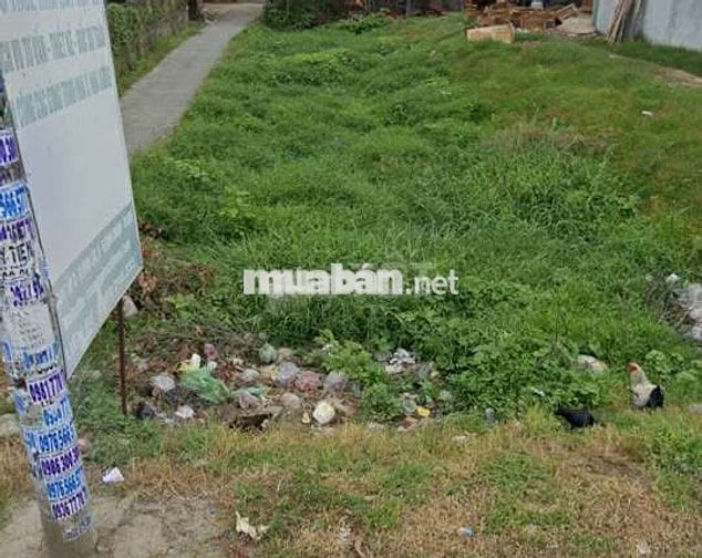 Hên lắm mới thấy lô đất MT đ Nguyễn Thị Sưa,VL A ,Bình Chánh 963tr SHR