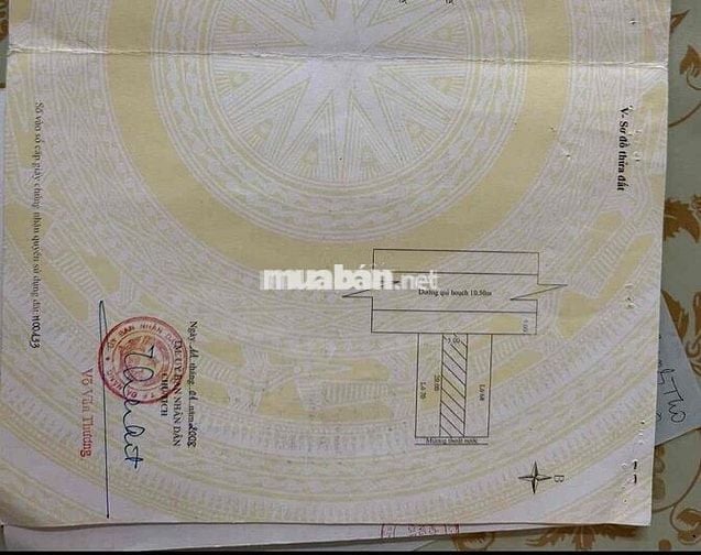 Bán đất đường 10,5m - Hoàng Tăng Bí gần bến xe Đà Nẵng