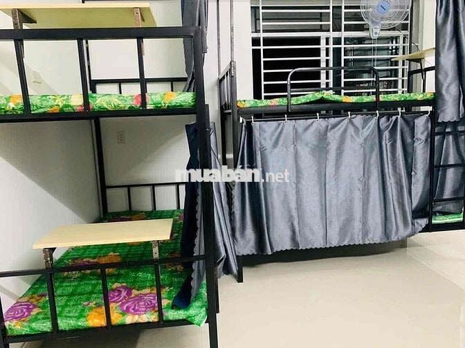 cho thuê giường tầng sinh viên đại học mở và tôn đức thắng