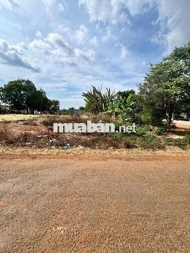 🏡 BÁN ĐẤT MẶT TIỀN ĐƯỜNG A1 - THÔN 4 - CƯ ÊBUR (cũ) - PHƯỜNG BUÔN MA T