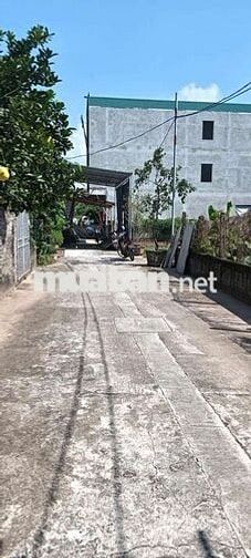 🤩 Lô Đất Siêu Đẹp 👉🌞Đội 6- Tự Nhiên - Thường Tín - HÀ NỘI 👉 Ô TÔ 7