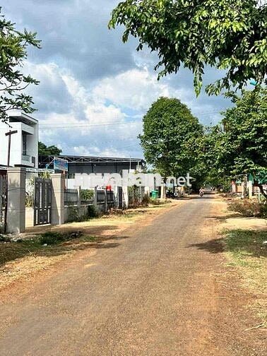 🏡 BÁN ĐẤT MẶT TIỀN ĐƯỜNG A1 - THÔN 4 - CƯ ÊBUR (cũ) - PHƯỜNG BUÔN MA T