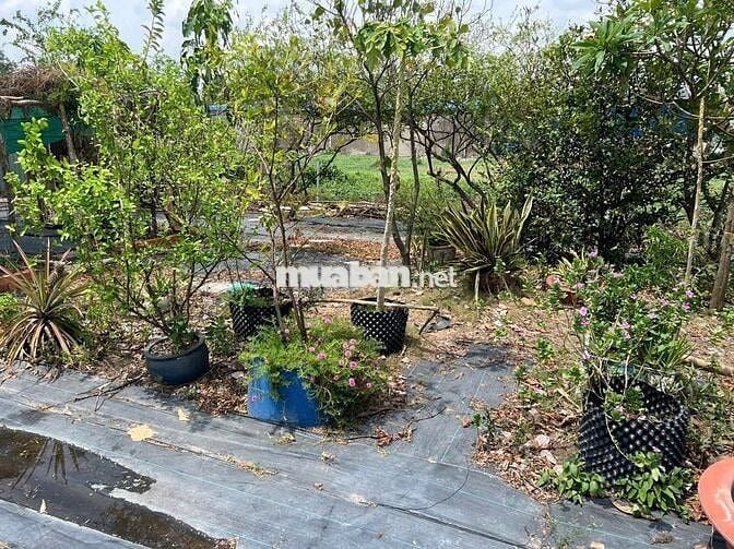 Bán Đất Có Nhà kho.Hai MT Xe Công ,Đại Nghĩa.Lê minh Xuân.Bình Chánh