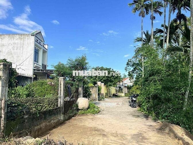 🔥Bán Lô đất 127m2, đường bê tông 4m, trục chính Trần Thủ Độ.