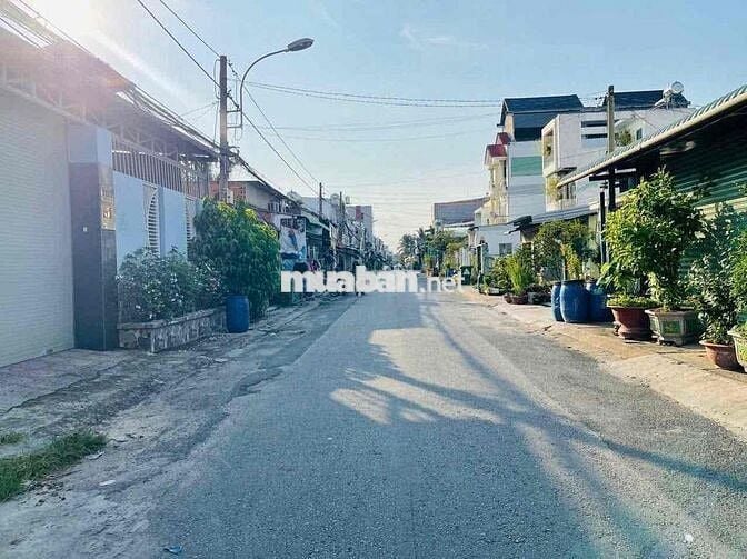 ĐẤT NGỢP 8×30 Full Thổ Đường Võ Thị Dòn, Tân Thông Hội cách QL22 100M