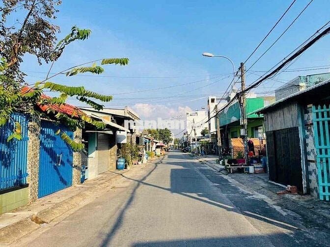 ĐẤT NGỢP 8×30 Full Thổ Đường Võ Thị Dòn, Tân Thông Hội cách QL22 100M