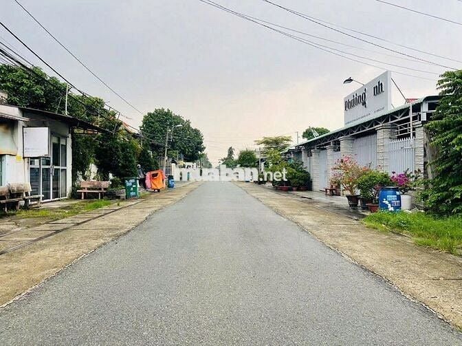 530 triệu, Ngay Chợ Việt Kiều 5x40 Tân Thông Hội Mặt Tiền Kinh Doanh
