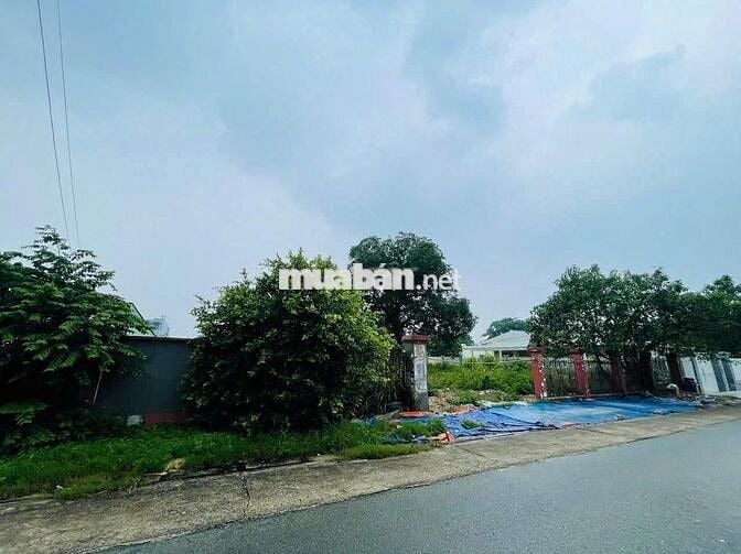 530 triệu, Ngay Chợ Việt Kiều 5x40 Tân Thông Hội Mặt Tiền Kinh Doanh