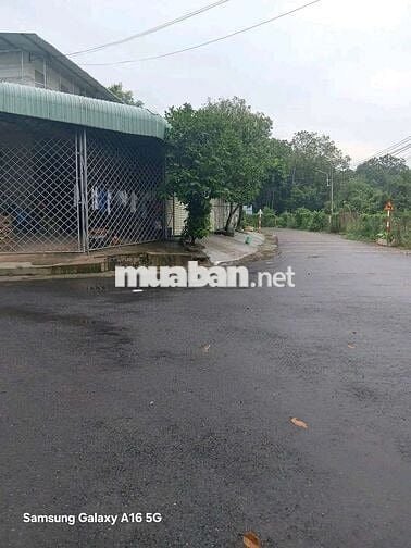 Sinh lời không ngừng với lô đất ở Đ. NE2, Bến Cát mà chỉ 715 triêụ