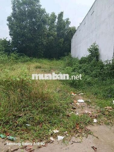 Sinh lời không ngừng với lô đất ở Đ. NE2, Bến Cát mà chỉ 715 triêụ