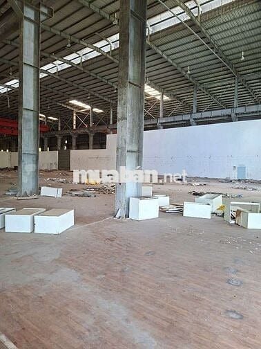 Cho thuê kho mt đào trí kho cao 18m pccc tiêu chuẩn