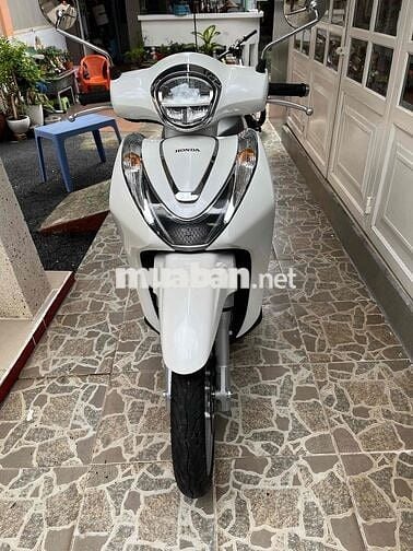Xe lướt 08-24