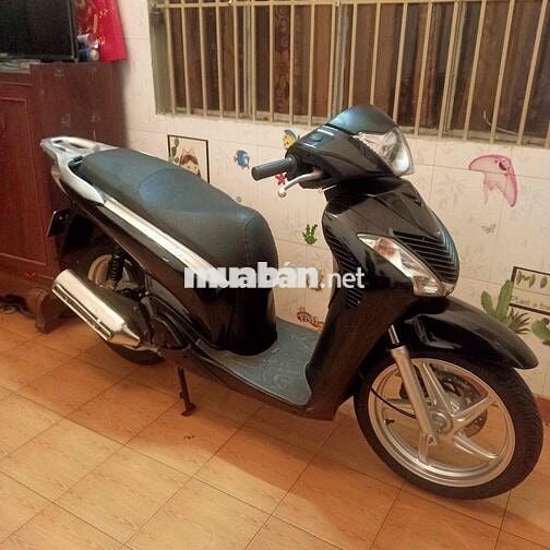 Sh 150 Nhap Y