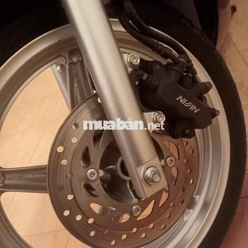 Sh 150 Nhap Y