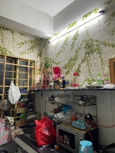 Cchính chủ cần bán căn hộ 44 Nguyễn Biểu Q.5 - giá tốt nhất khu q5