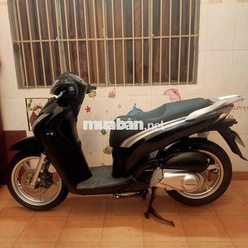 Sh 150 Nhap Y