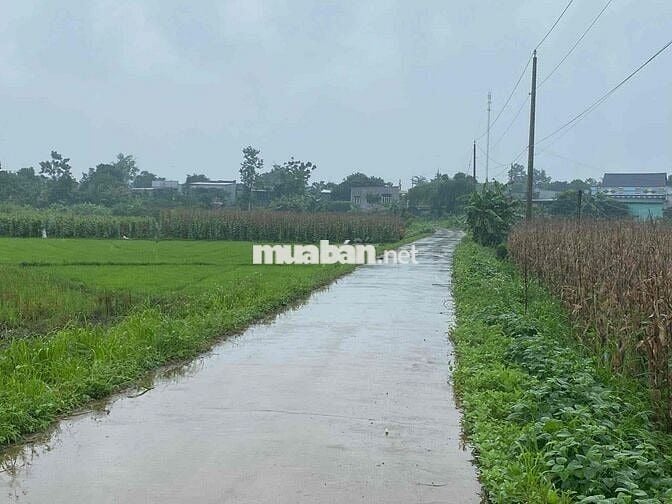 Đất xã Sông Ray, Đồng Nai diện tích hơn 4 xào cần bán