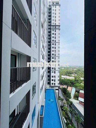 Ngộp bán gấp căn hộ chung cư The Maison Phường Phú Thọ Thủ Dầu Bình Dư