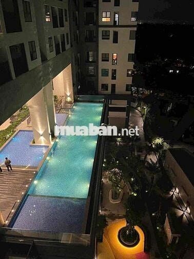 Ngộp bán gấp căn hộ chung cư The Maison Phường Phú Thọ Thủ Dầu Bình Dư