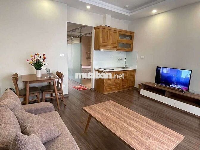 Phòng 1PN 1PK 40m2_cửa sổ lớn_full nt_Bạch Đằng, Bình Thạnh
