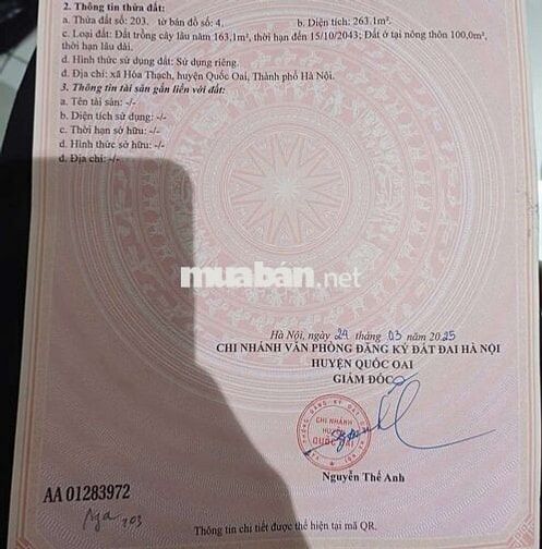 SIÊU PHẨM TRỤC CHÍNH THÔN HÒA TRÚC XÃ PHÚ CÁT HN 263,1M, TC 100M,MT9M,
