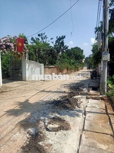 SIÊU PHẨM TRỤC CHÍNH THÔN HÒA TRÚC XÃ PHÚ CÁT HN 263,1M, TC 100M,MT9M,