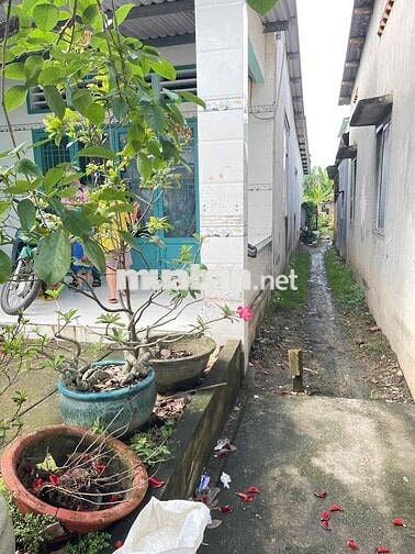 Nhà cũ mặt tiền Dx 127 Tân An Thủ Dầu Một cũ gần chợ Bến Thế 5x40,5