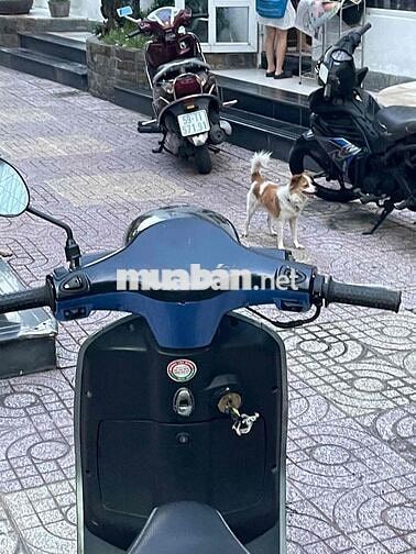 Bán xe Vespa 50cc,Bst đẹp đời 2019,xe đẹp gtdd