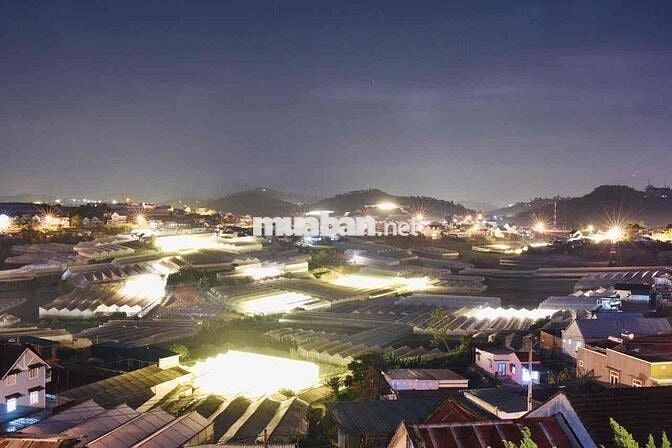 🏡 ĐẤT VIEW CỰC ĐẸP ĐỒI NGÔ QUYỀN ĐÀ LẠT - CÒN 1 LÔ ***