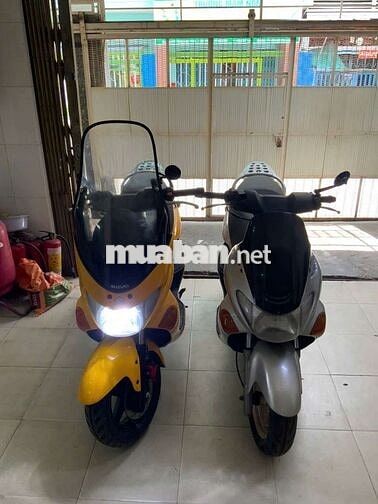 Suzuki Avenis Epicuro số đẹp