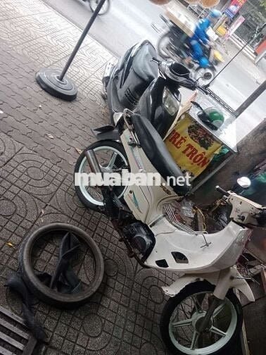 Max 50 khôg cần bằng lái
