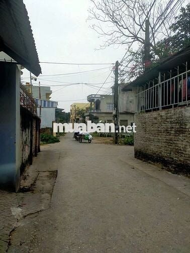 Em cần bán 43m2 Phượng Đồng, Phụng Châu. Giá rẻ 2.61 tỷ.