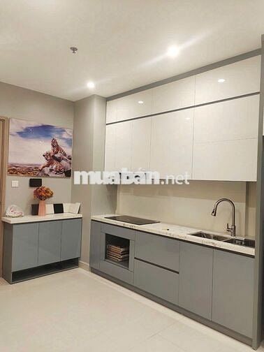 Cho thuê 2PN+ 62,9m2 The Sapphire 4 Đồ cơ bản