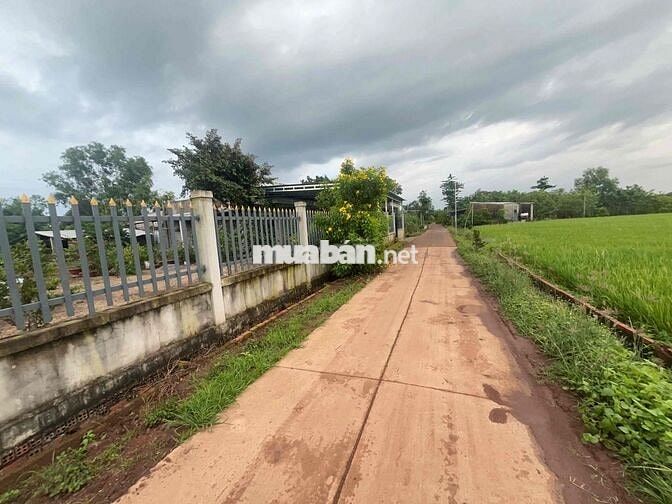 Bán 282m2( 6x47) thổ cư sổ riêng.Gần DT765, Xuân Lộc,Đồng Nai