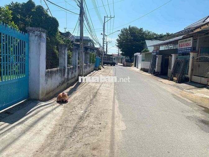 Cho thuê mặt bằng kinh doanh lớn trung tâm Phan Rang