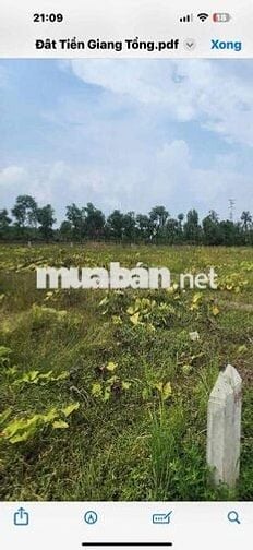 Bán Lô Đất Thổ Cư xã Phước Trung huyện Gò Công Đông Tỉnh Tiền Giang