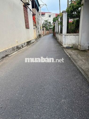 Nhà 3PN tại TT Trâu Quỳ, Gia Lâm oto vào 56m2 chỉ 5 tỷ Nhà 3PN tại TT Trâu Quỳ, Gia Lâm oto vào 56m2 chỉ 5 tỷ