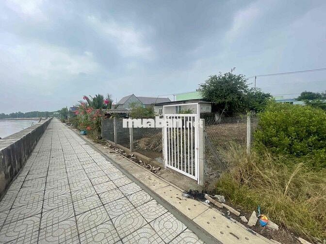 Bán Gấp Lô Đất Thổ Cư xã An Thới Đông huyện Cần Giờ TPHCM
