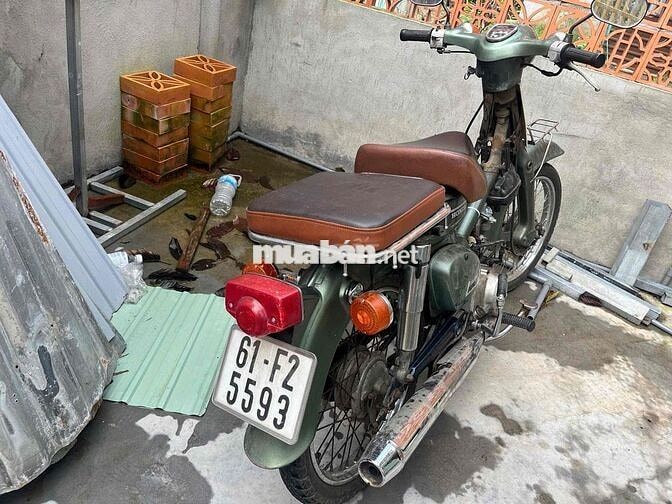 xe cub 81/70 bs 61