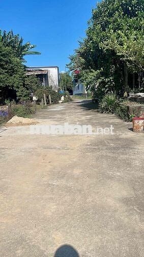Hoà Tiến bê tông. 5m sát đường nhựa