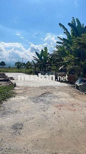 Hoà Tiến bê tông. 5m sát đường nhựa