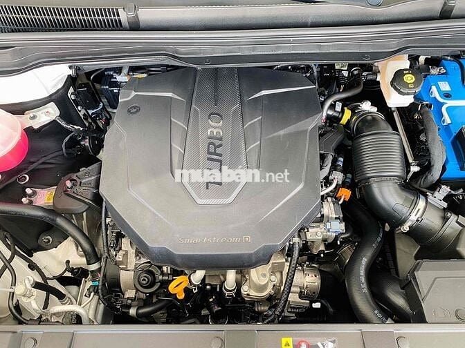 Kia Carnival 2023 Signature 2.2D - XHĐ 905Tr
