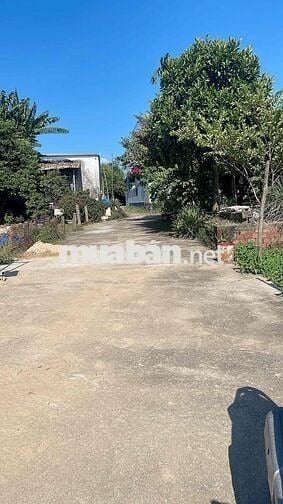 Hoà Tiến bê tông. 5m sát đường nhựa