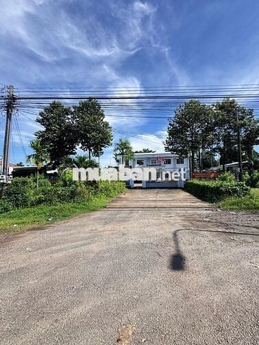 Bán Đất Núi Chứa Chan Xuân Lộc Đồng Nai Thổ cư sổ riêng