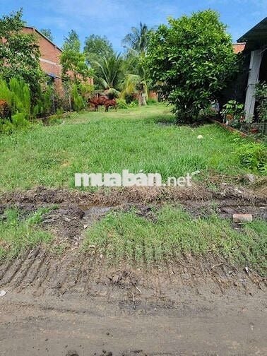 Bán đất 9x34 kp. Bình Nguyên. Trảng bàng Tây Ninh
