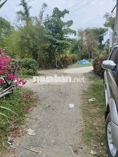 Bán đất 9x34 kp. Bình Nguyên. Trảng bàng Tây Ninh